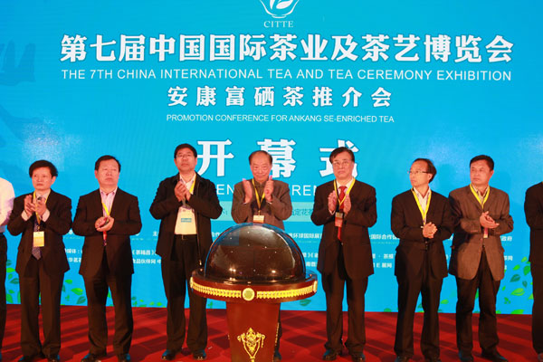 2013北京茶展开幕式